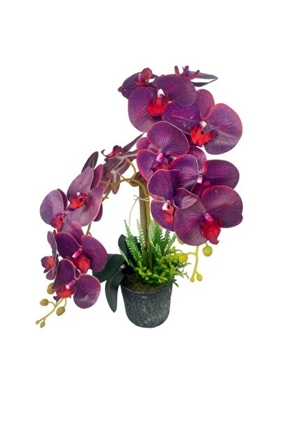 Nettenevime Yapay Çiçek 2li Mor Bordo Damarlı Islak Orkide Seramik Saksıda Orkide 60cm