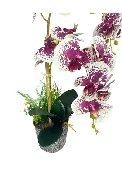 Nettenevime Yapay Çiçek 2li Benekli Fuşya Islak Orkide Seramik Saksıda Orkide 60cm