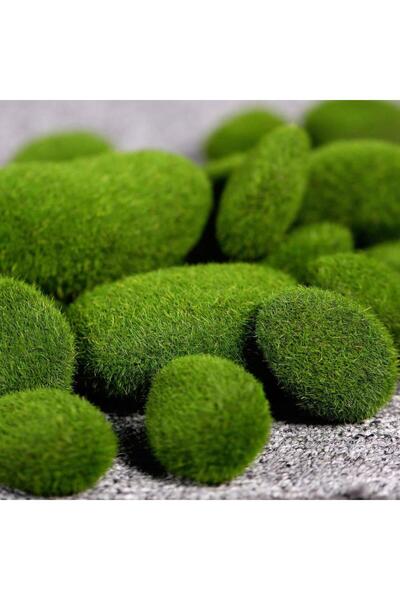 Nettenevime Taş Yosun Teraryum Ve Akvaryum Dekoru