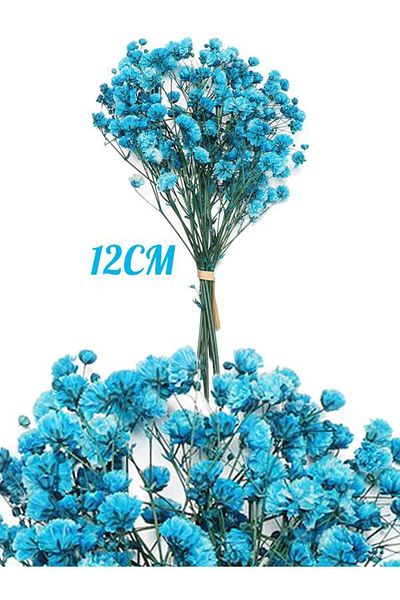 Nettenevime Σετ 10 Dry Flower Natural BLUE Cipso Shocked Μη Αποτρεπτικό