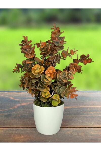 Nettenevime Artificial Flower White Potted Eucalyptus Boxwood Bunch Powdered Pastel Orange Decorative Artificial Plant