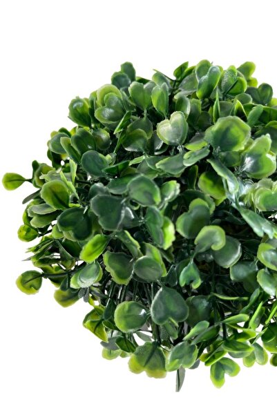 Nettenevime Yapay Çiçek Şimşir Bonus 19*17cm Yapay Bitki Siyah Plastik Saksılı Dekoratif Süs Çiçeği