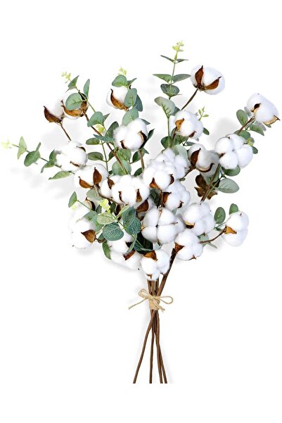 Nettenevime 4 Lü Set Okaliptuslu Doğal Pamuk Çiçeği Dalı 5li Kuru Çiçek Yapay Çiçek