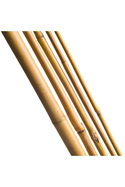 Nettenevime Bambu Sopası 120 Cm 18-20mm Bambu Çubuğu 5 Adet