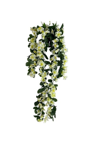 Nettenevime Κρεμαστό λουλούδι σε γλάστρα Κρέμα Bougainvillea 70*25