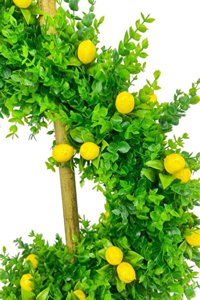 Nettenevime Yapay Ağaç Spiral Şimşir Ağacı İnce Yapraklı 160cm Bambu Saplı Salon Bitkisi Düz Yeşil