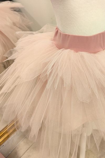 Shecco Babba Long Sleeve Crop Tutu Skirt Set, School Event Clothing - 1-10 Years - Powder