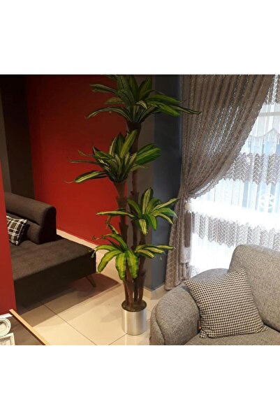 Nettenevime Yapay Çiçek Massengena Ağacı Yapay Ağaç Ofis Ev Için Dekoratif Ağaç 210 Cm