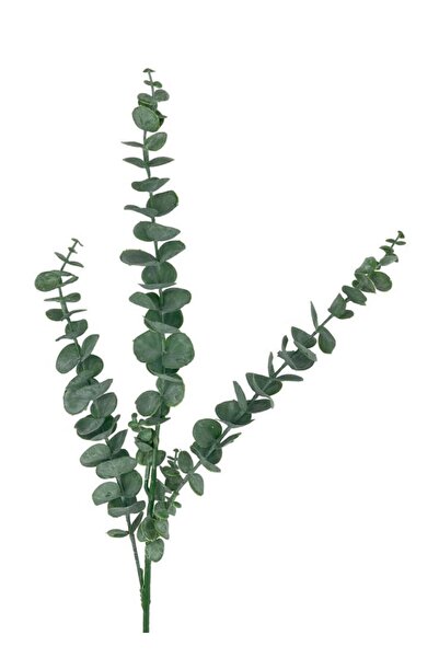 Nettenevime Yapay Çiçek Yeşil Okaliptus 3dallı Uzun Dal 76cm Eucalyptus
