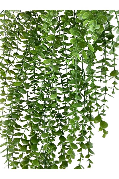 Nettenevime Yapay Çiçek Sarkan Şimşir Okaliptus Jumbo Boy 75*35cm Yapay Sarmaşık