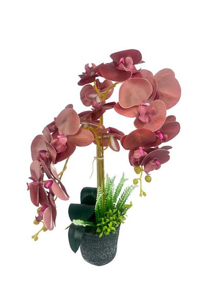 Nettenevime Τεχνητό Λουλούδι 2 Συσκευασία Wet Pastel Burgundy Orchid σε κεραμική γλάστρα Ορχιδέα 60cm