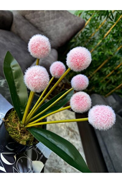 Nettenevime Yapay Çiçek Kırmızı Açık Pompon Siyah Saksıda Dekoratif Yapay Çiçek 30*20cm