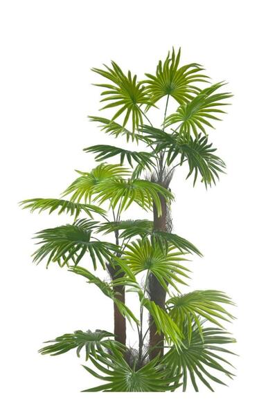 Nettenevime Yapay Ağaç Palmiye Fanpalm 3Katlı 24Yaprak 130*65cm