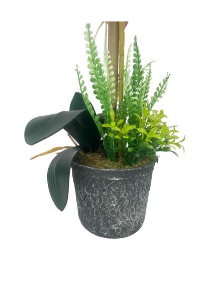 Nettenevime Yapay Çiçek 2li Mor Bordo Damarlı Islak Orkide Seramik Saksıda Orkide 60cm