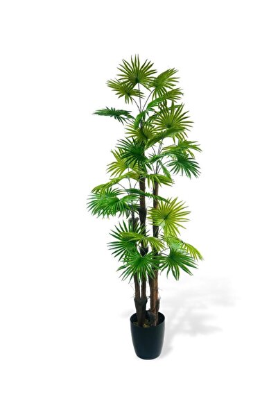 Nettenevime Yapay Ağaç Yelpaze Palmiye 4Katlı Fanpalm 32 Yaprak 170*65cm
