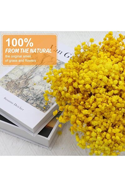 Nettenevime 10lu Set Kuru Çiçek Doğal SARI Cipso Şoklanmış Bozulmaz