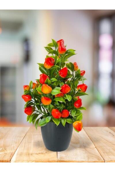 Nettenevime Yapay Çiçek Çilek Ağacı Siyah Saksıda Çilek 30cm