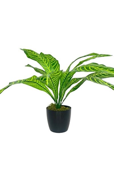 Nettenevime Yapay Çiçek Drecana Yukka 12yaprak Salon Çiçeği Plastik Siyah Saksılı Yapay Bitki