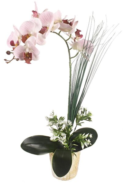 Nettenevime Yapay Çiçek Orkide Seramik Saksıda Açık Pembe Islak Orkide