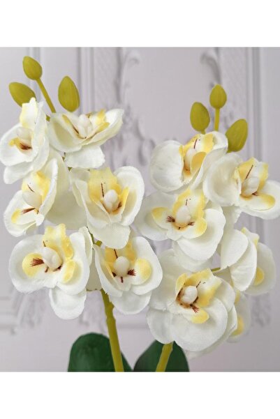 Nettenevime زهرة اصطناعية خشبية بوعاء أبيض صغير هدية زخرفية من الأوركيد الاصطناعي