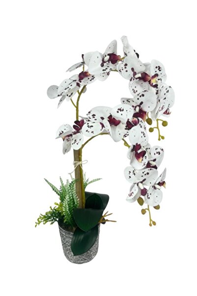 Nettenevime Yapay Çiçek 2li Benekli Bordo Islak Orkide Seramik Saksıda Orkide 60cm