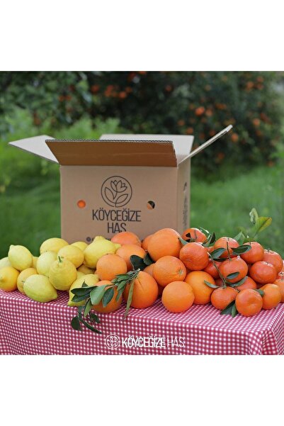 Köyceğize Has 8 Kg Köyceğiz Portakalı 2kg Limon