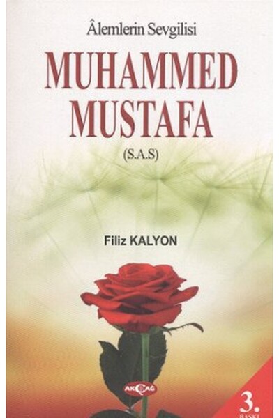 Marvel حقيقة مولانا ومسنيفي