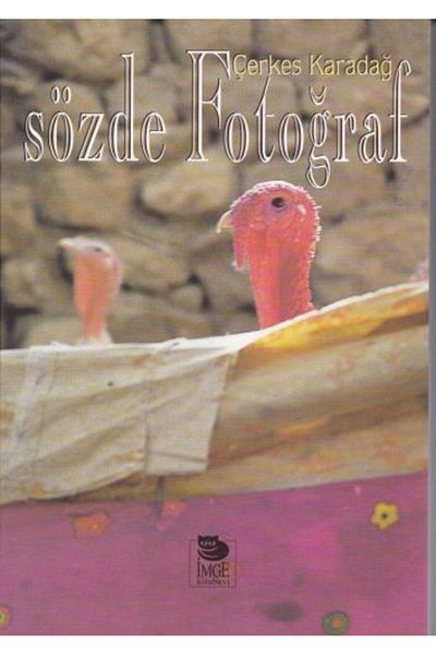 İmge Kitabevi Yayınları The Book of Pseudo Photography (with Protected Poset)