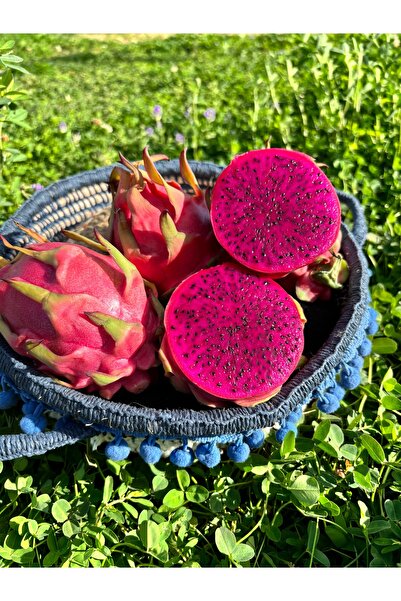 BRF Ejder Meyvesi 1kg