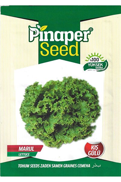 Pinaper Seed Kış Gülü Marul Tohumu 5 Gr Pınaper Tohumculuk