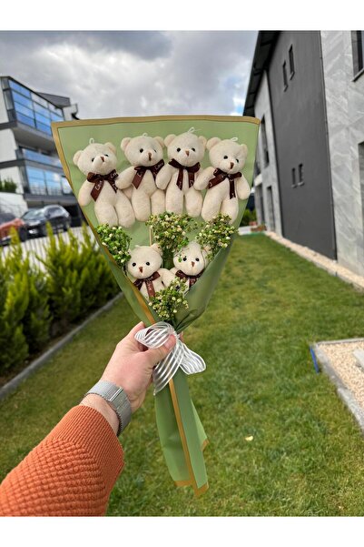 DAFNE Sevdiklerinize özel sevimli peluş ayıcık buketi yeşil