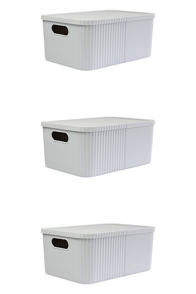 devigo 3Pcs 12 Liter Multi-Purpose Large Storage Box with Lid - Toy, Cosmetic Personal Item Organizer