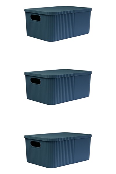 devigo 3Pcs 12 Liter Multi-Purpose Large Storage Box with Lid - Toy, Cosmetic Personal Item Organizer