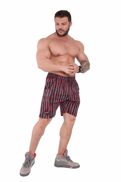 Big Sam Flexible Cotton Mixed Pattern Big Sam Shorts 1499