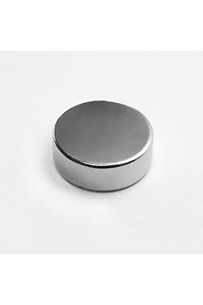 NeoHobi [5 Adet] Neodyum Mıknatıs Çap: 15mm Kalınlık: 5mm [D15x5] NdFeB Güçlü Mıknatıs – Yuvarlak [NM011]
