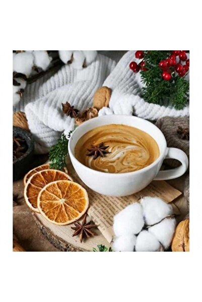 Pastelya Kahve Tadı Sayılarla Boyama Seti Çerçeveli Kasnaklı 40 X 50 Cm