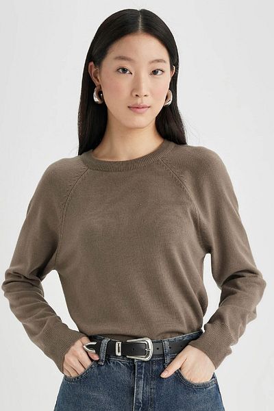 DeFacto Crew Neck Soft Textured Knitwear Sweater - Regular Fit I6913Az24Wn