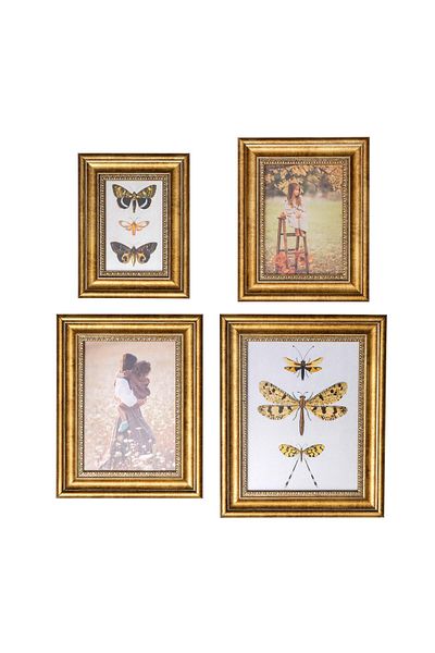 Anadolia 4-Piece Gold Photo Frame - Decorative
