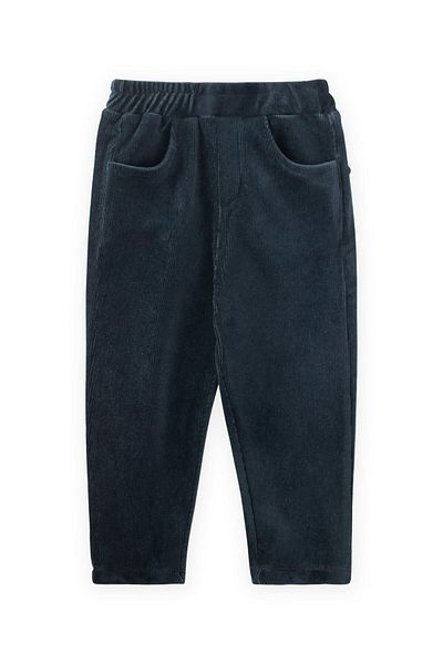 Cigit 1-8 Years Dark Blue Corduroy Trousers