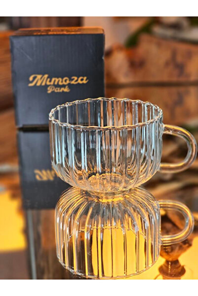 MİMOZA PARK 1 Pcs Pinterest Heat Resistant Nescafe Tea Cup Large Size 500 ml