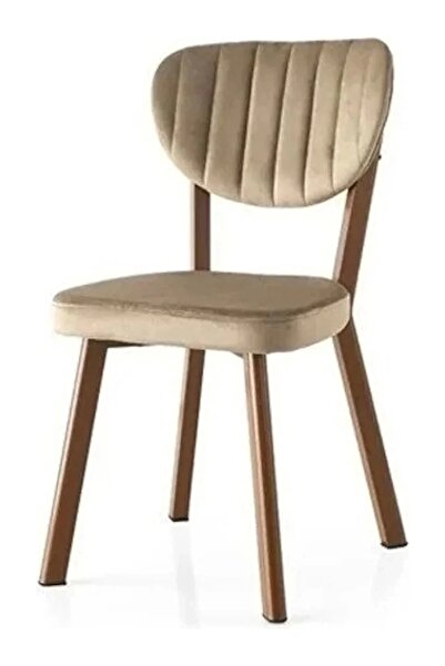 Evistro Esinti Salon Balkon ve Mutfak Sandalyesi Metal Kahve Gövde Babyface K...