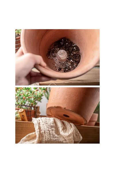Generic Planting water rooting base 10pcs