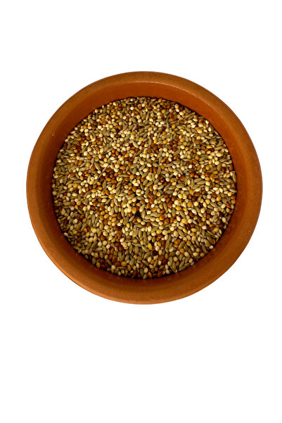 katzoo Özel Üretici Yemi Bol Aspurlu ( Vakumlu Ambalaj ) 500 Gr