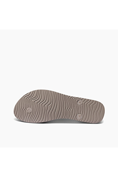 Reef شاطئ البحر - بريق الفطر