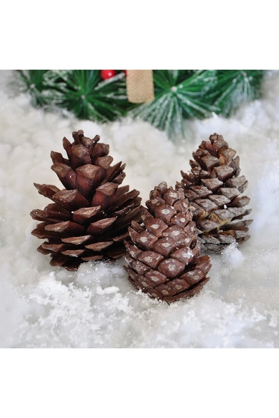 Kikajoy Decorative Pine Cone Ornament 250 Gr