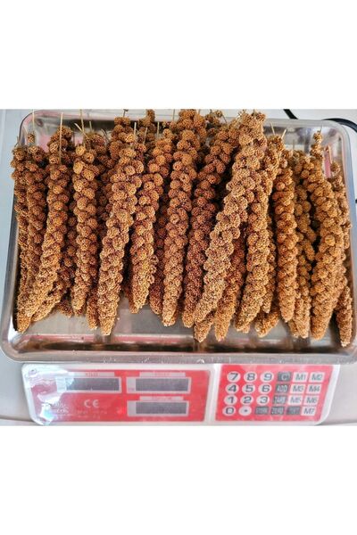 özata kızıl dal darı Üreticiler Için Kızıl Daldarı 1kg Yerli Üretim 2025 Ağustos Hasat Dal Darı