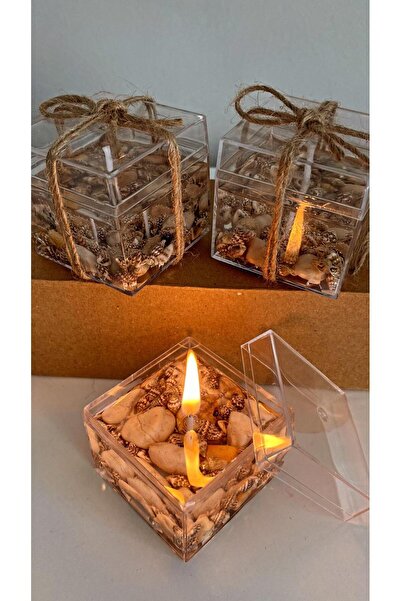 MUM JEL MUM- 3 ADET Dekoratif deniz kabuklu jel mum