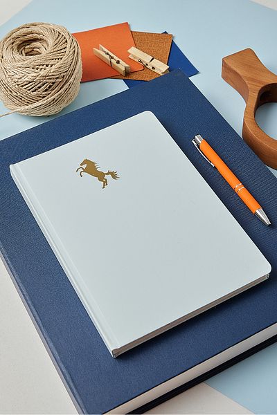 inkglo Light Blue Gold Leaf Horse Printed Dotted Velvet Touch Cover 112 Sheets Note Book