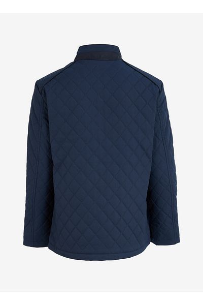 ALTINYILDIZ CLASSICS Altıny Yıldız Classics Navy Blue Men's Coat 4A 1025100001 _Overcoat