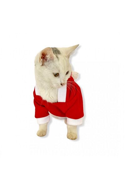 PETS & OTHERS Christmas Outfit for Cats and Dogs Merry Christmas (Noel)